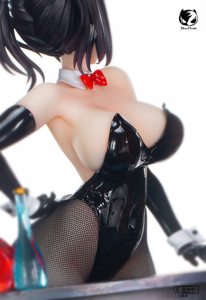 Bunny Girl: Rin illustration by Asanagi 1/6