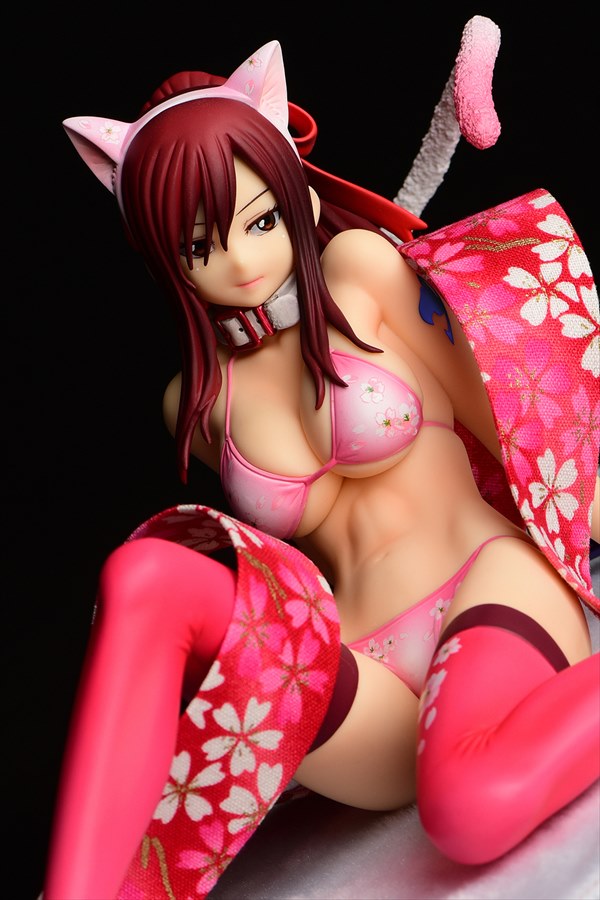 Erza Scarlet Cherry Blossom Cat Gravure_Style 1/6