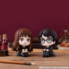 Lookup Harry Potter - Harry Potter ＆ Hermione Granger (with gift)