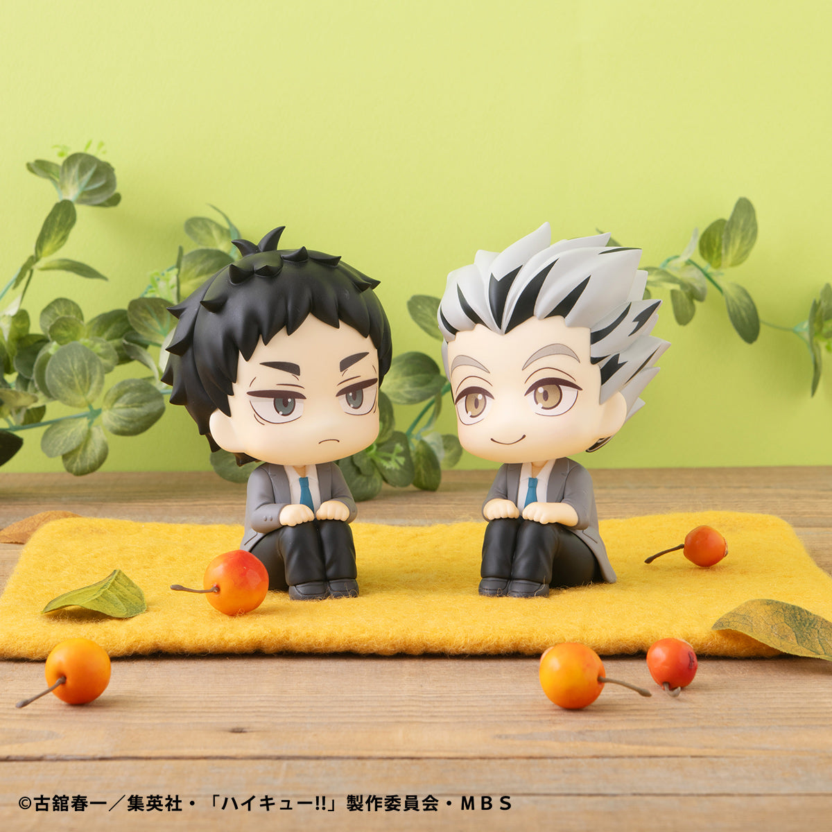 Lookup Kotaro Bokuto & Keiji Akaashi Set (with gift) Haikyu!!